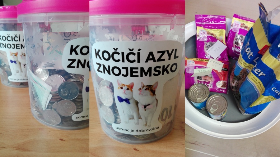 Úspěšná sbírka na Kočičí azyl Znojemsko
