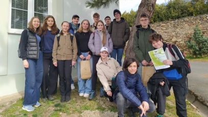 YPEF (Young People in European Forests)