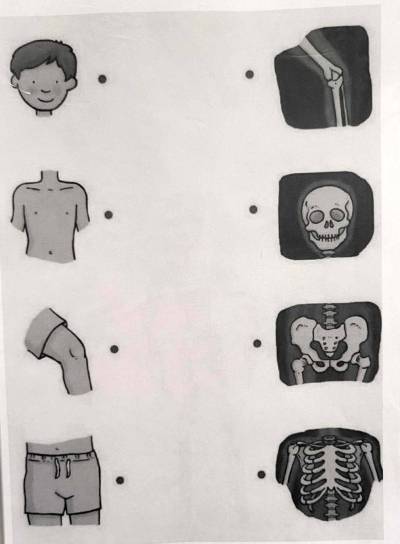 biologie-v-praxi-04_original