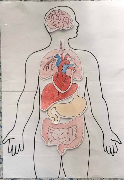 biologie-v-praxi-13_original