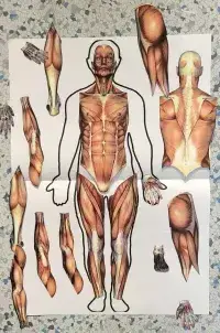 biologie-v-praxi-14_intro_small_original