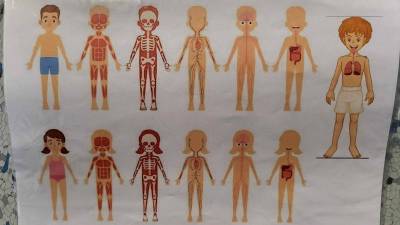 biologie-v-praxi-tit_original