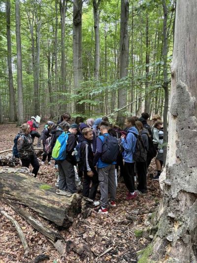 pousti-a-pralesem-01