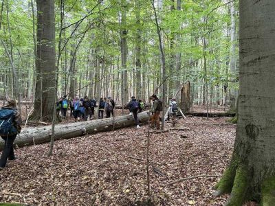 pousti-a-pralesem-02