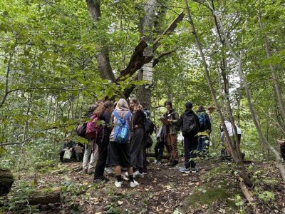 pousti-a-pralesem-06