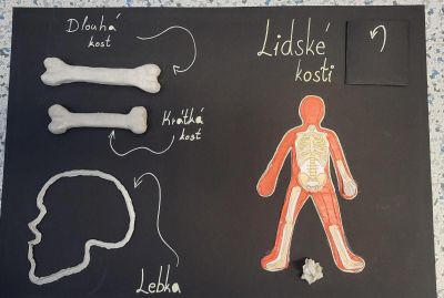 clanek-20251104-124840