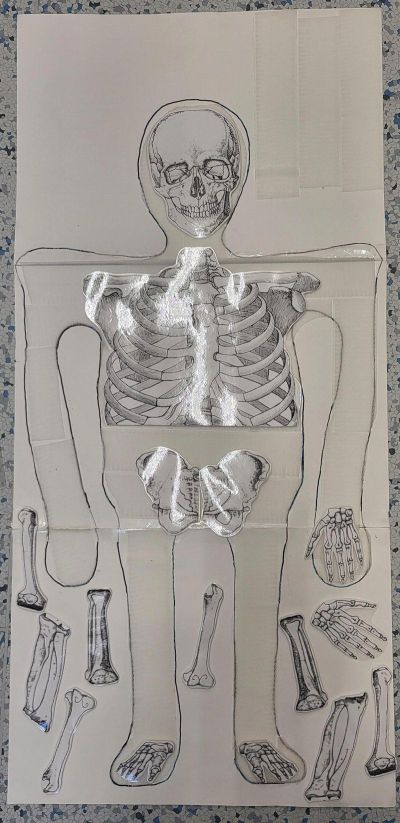 clanek-20251104-130530