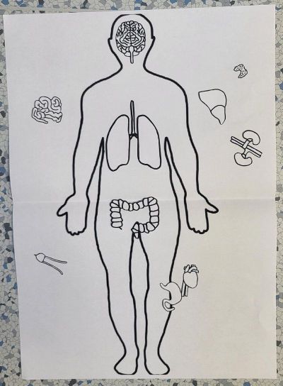 clanek-20251104-131017