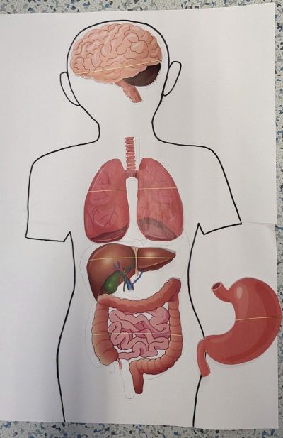 clanek-20251104-131935