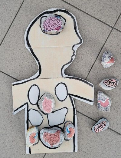 clanek-20251104-133921