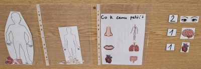 clanek-20251104-134034