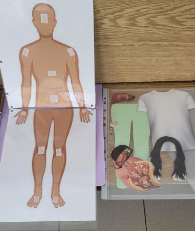 clanek-20251104-134110