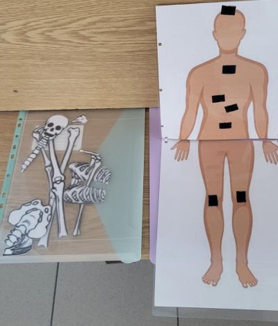 clanek-20251104-134119