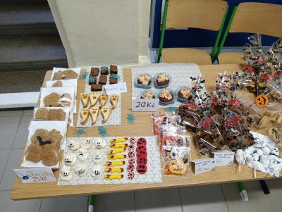 clanek-1000008418-optimized