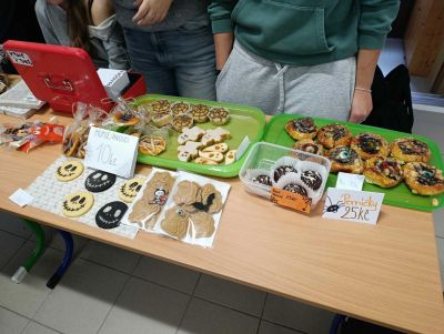 clanek-1000008433-optimized