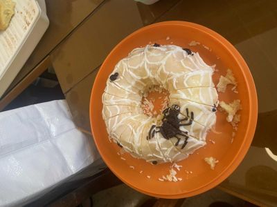 clanek-1000008543-optimized