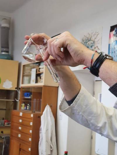 projektovy-den-02-2022-01_original