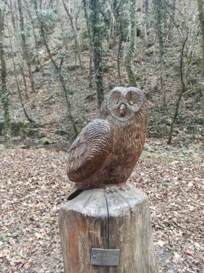 projektovy-den-02-2022-11_original