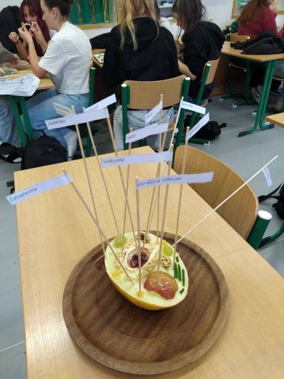 clanek-1759143301213-optimized