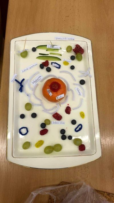 clanek-image-6-optimized