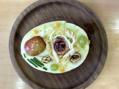 clanek-image-optimized