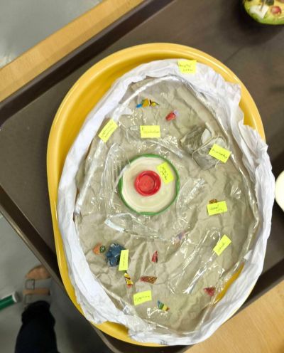 clanek-media-3-optimized