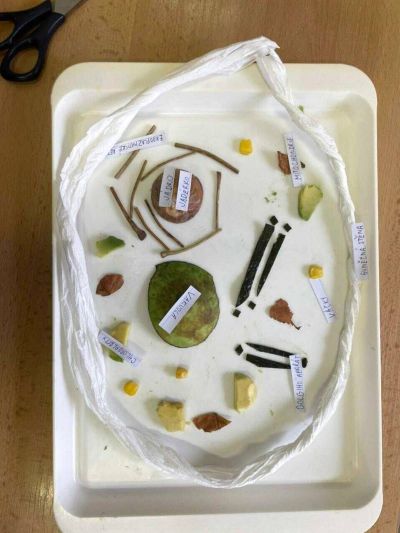 clanek-media-4-optimized