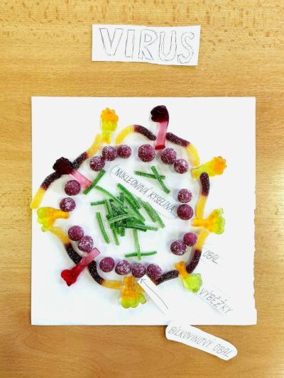 clanek-media-optimized