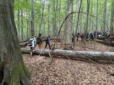 pousti-a-pralesem-03