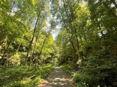 mor-kras-06-2022-02_original