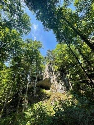 mor-kras-06-2022-03_original